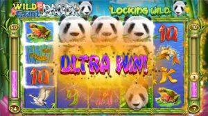 Tutorial Mudah Bermain Slot Wild Giant Panda Governorswales