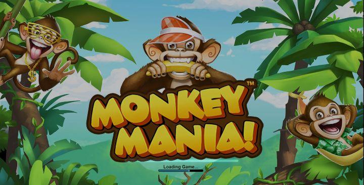 Review Permainan Slot Monkey Mania Playtech